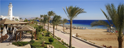 Holiday Hotel Deals